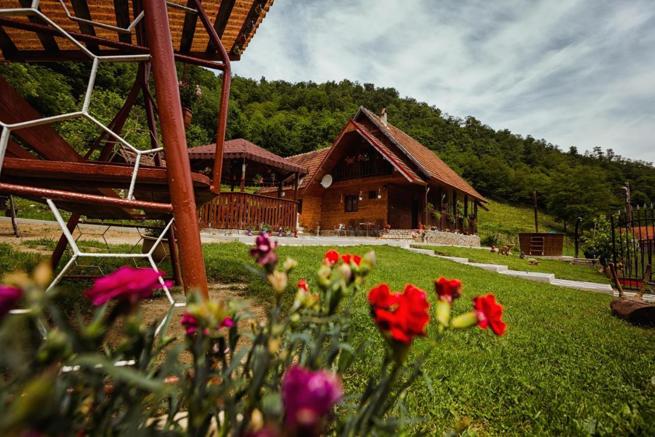 Cabana Daria Ribicioara Exterior photo