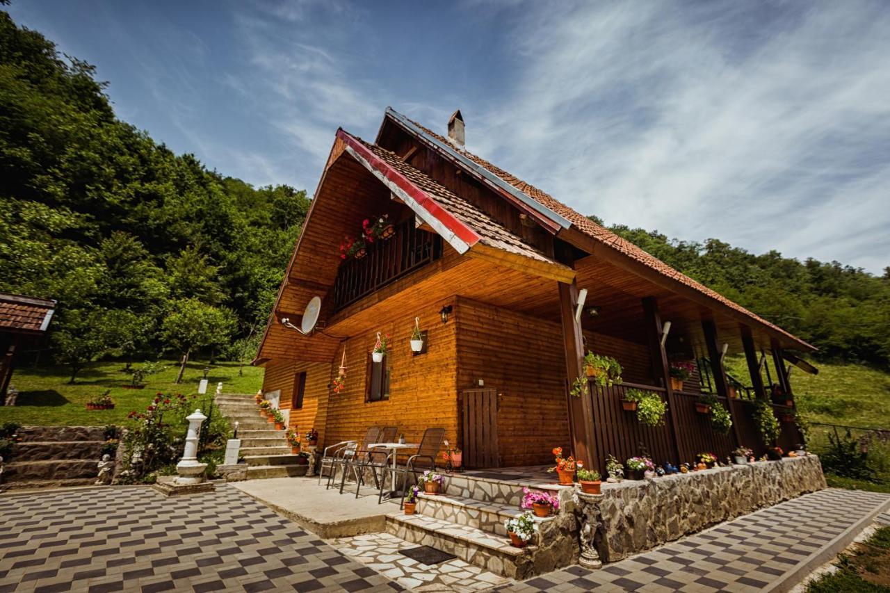 Cabana Daria Ribicioara Exterior photo