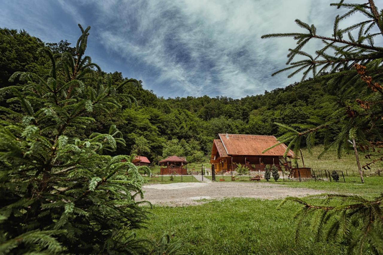 Cabana Daria Ribicioara Exterior photo