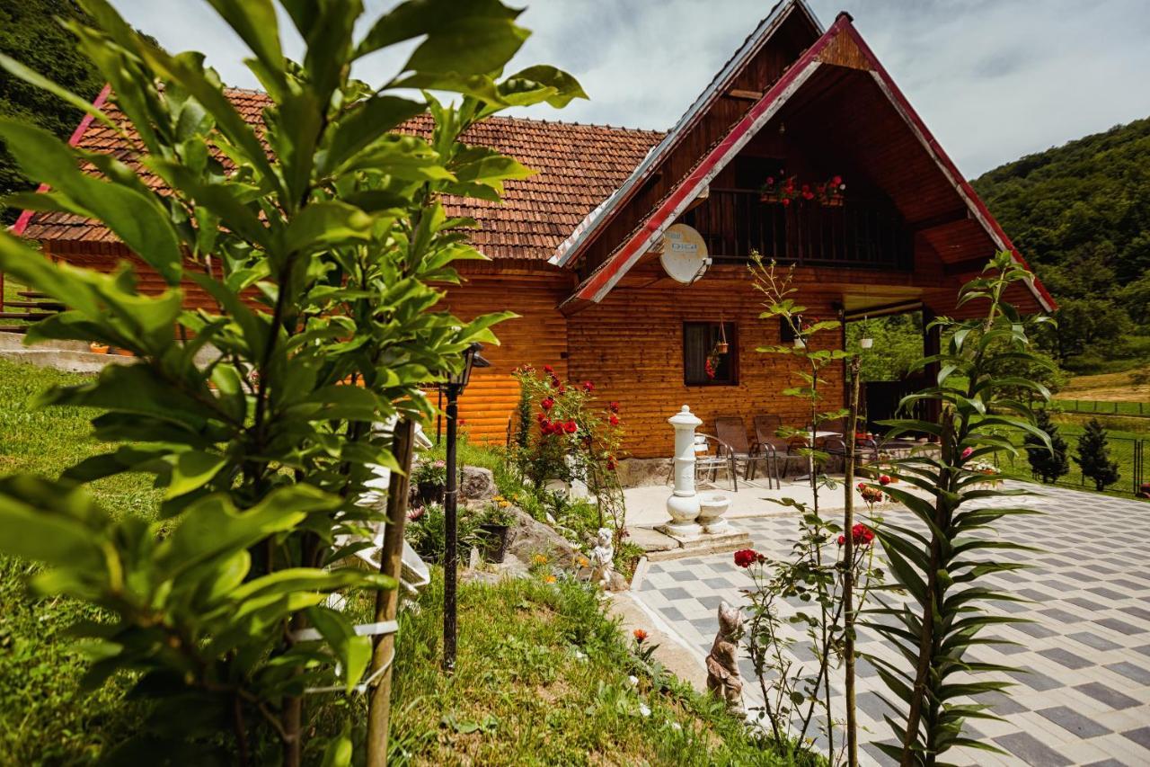 Cabana Daria Ribicioara Exterior photo