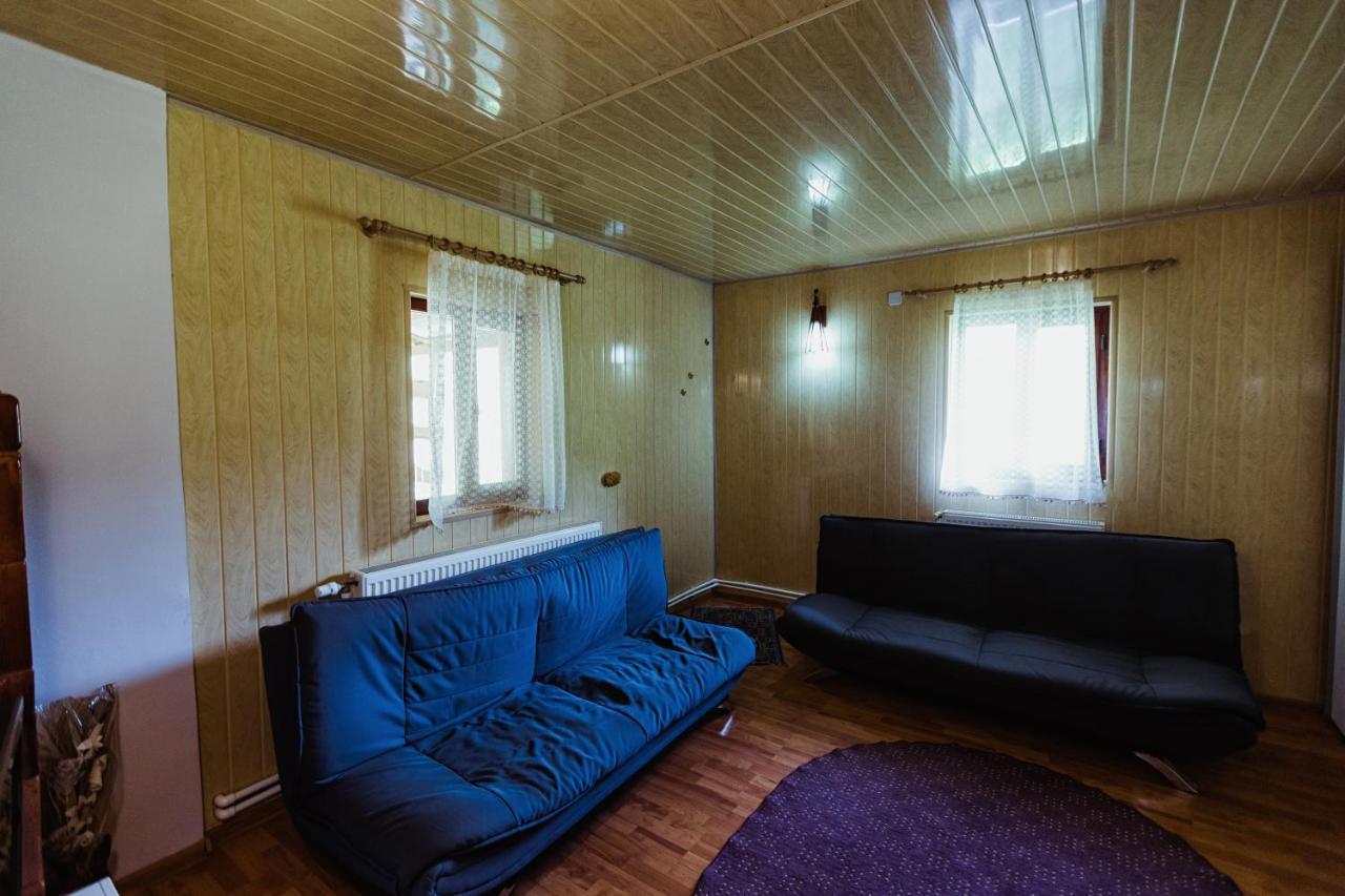 Cabana Daria Ribicioara Exterior photo