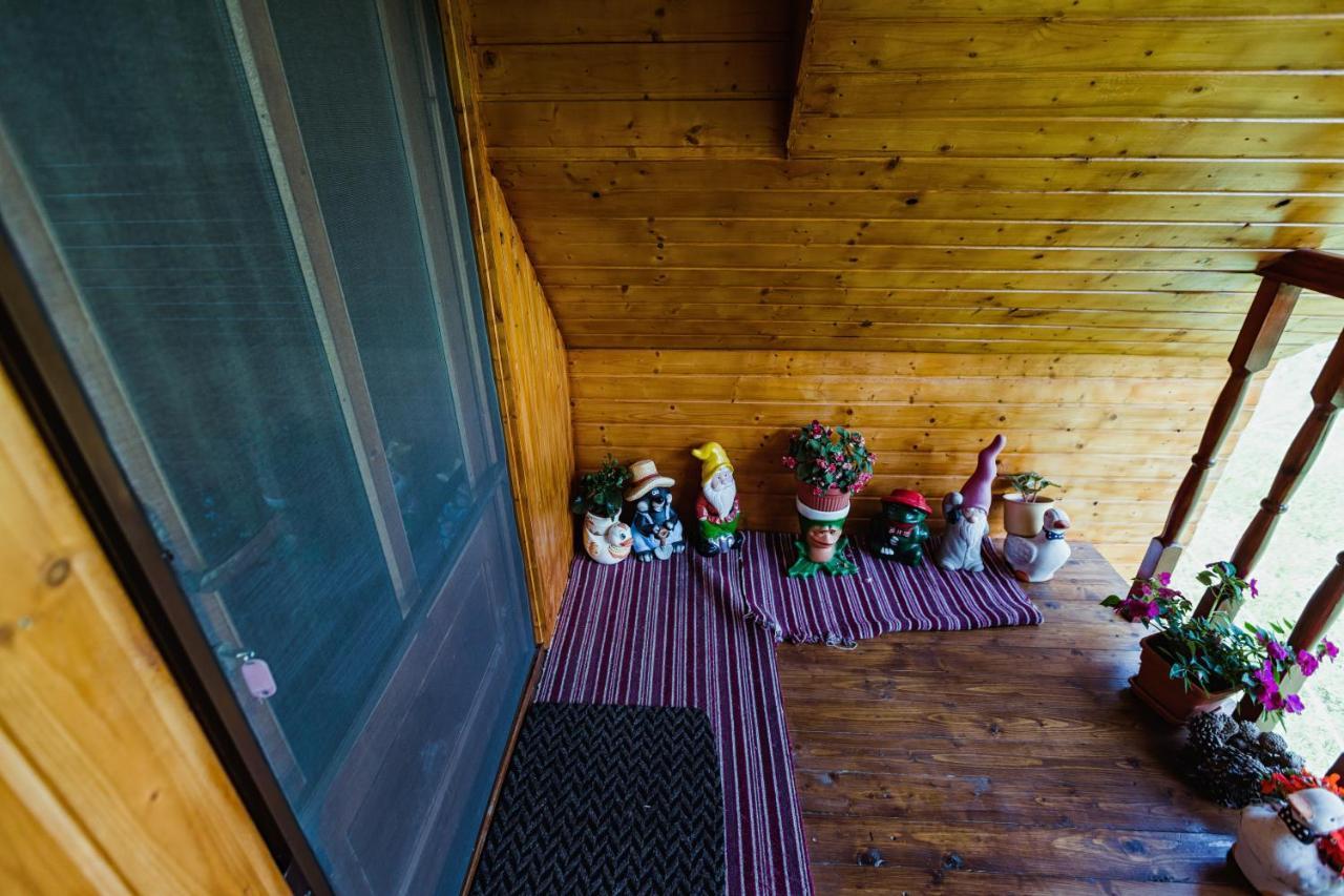 Cabana Daria Ribicioara Exterior photo
