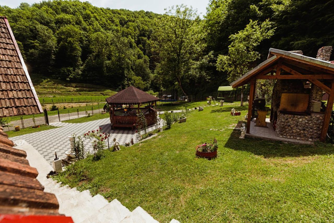 Cabana Daria Ribicioara Exterior photo
