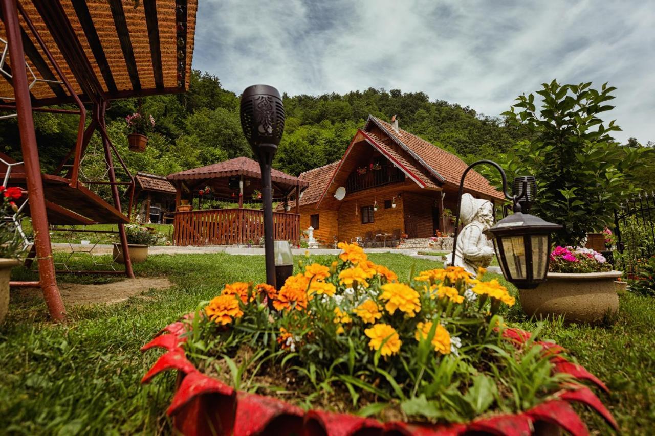 Cabana Daria Ribicioara Exterior photo