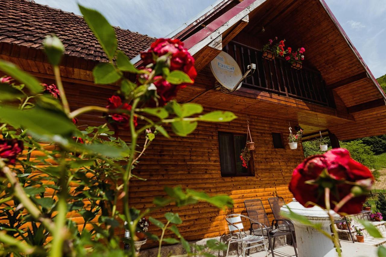 Cabana Daria Ribicioara Exterior photo