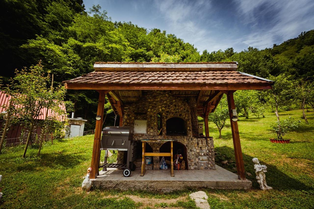 Cabana Daria Ribicioara Exterior photo